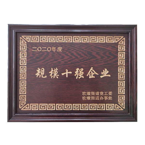 2020规模十强企业